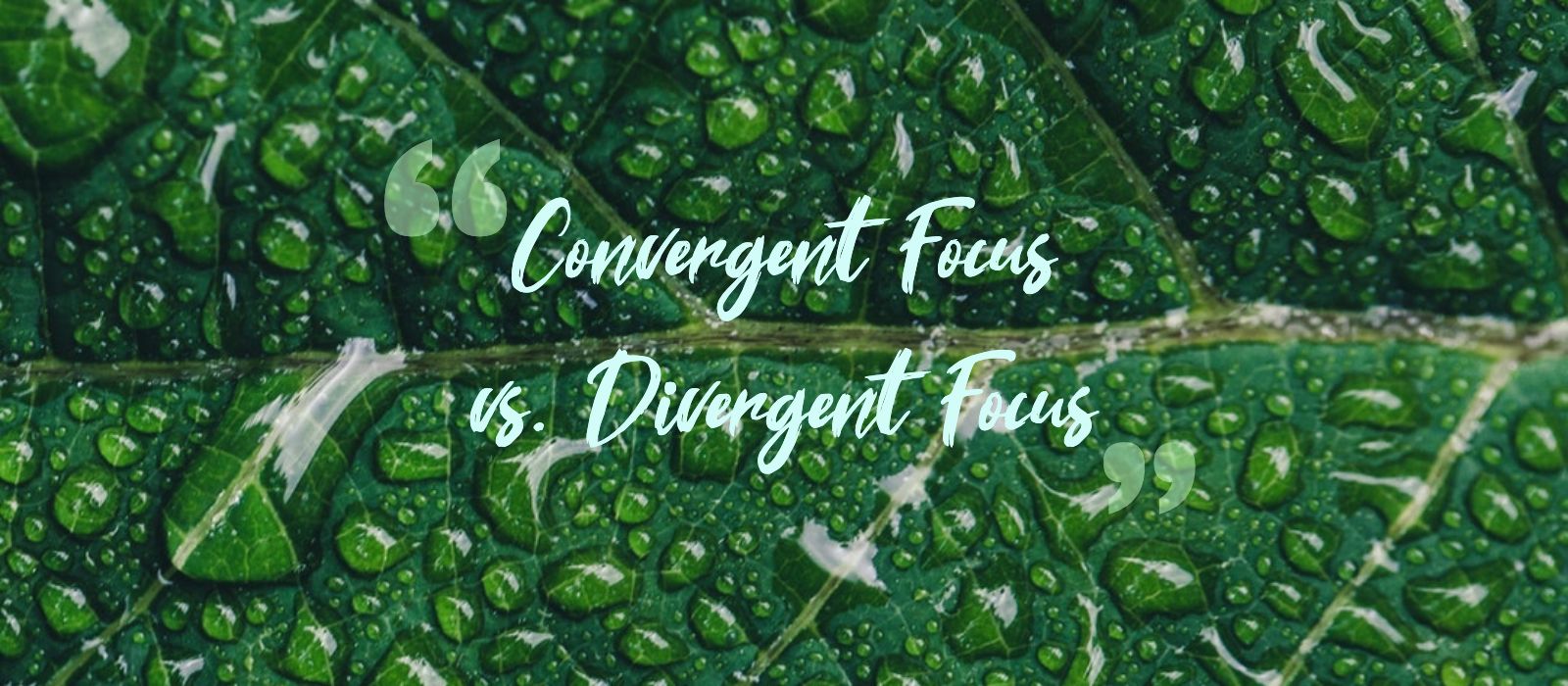 Divergent Focus vs Convergent Focus: What’s the difference?