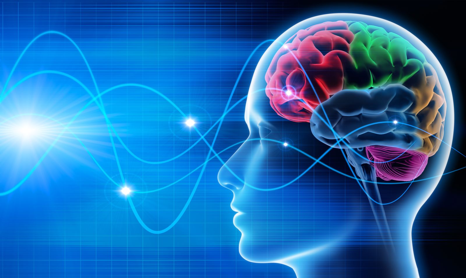 What Are The Brain Waves?