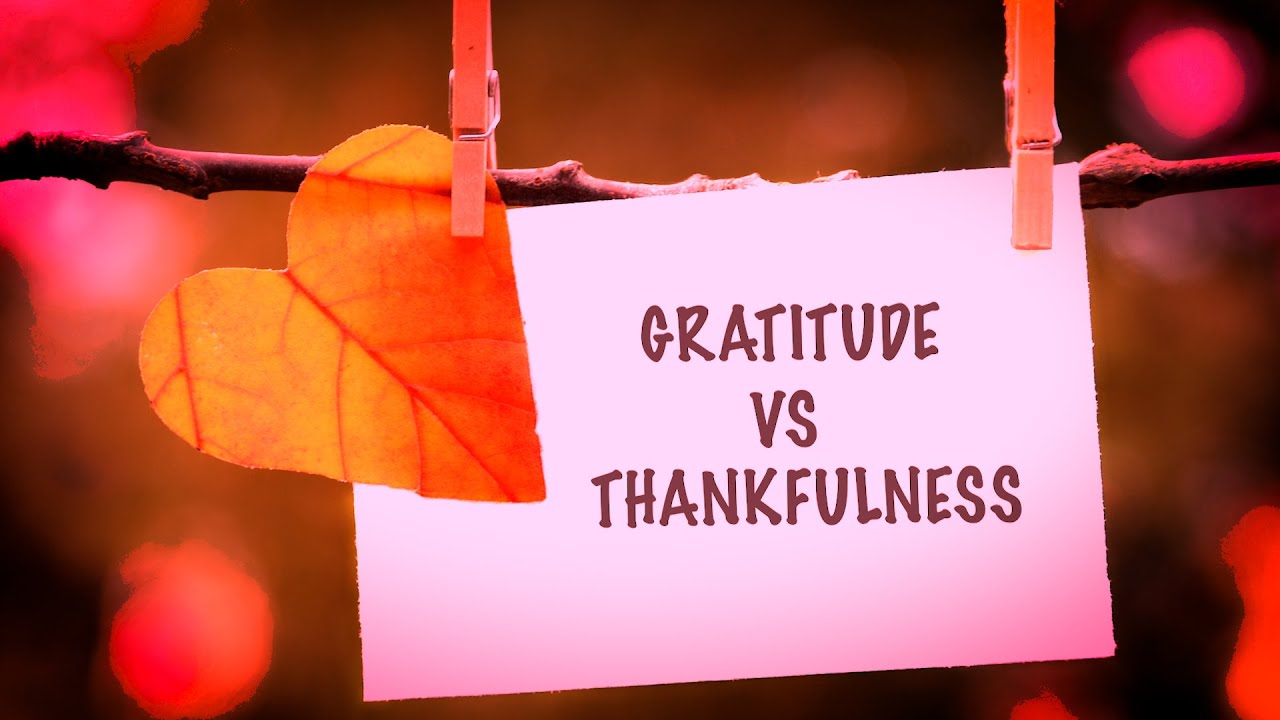 Exploring the Nuances: The Difference Between Gratitude and Thankfulness